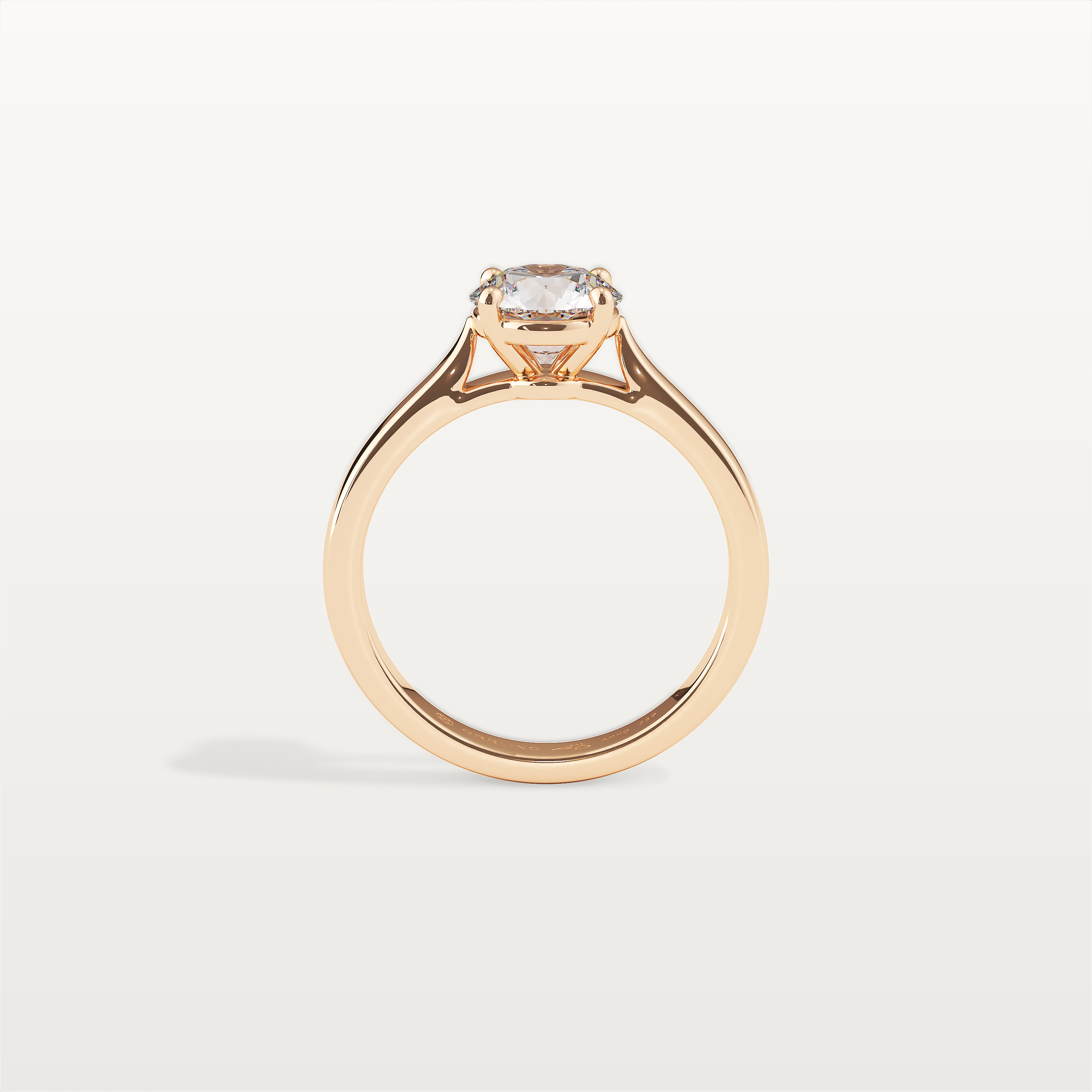 Completed Ring (Europe Size 48.50)