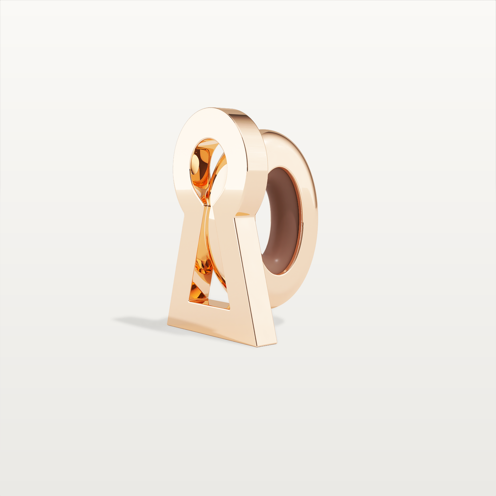 ICON LOCK PLATE
