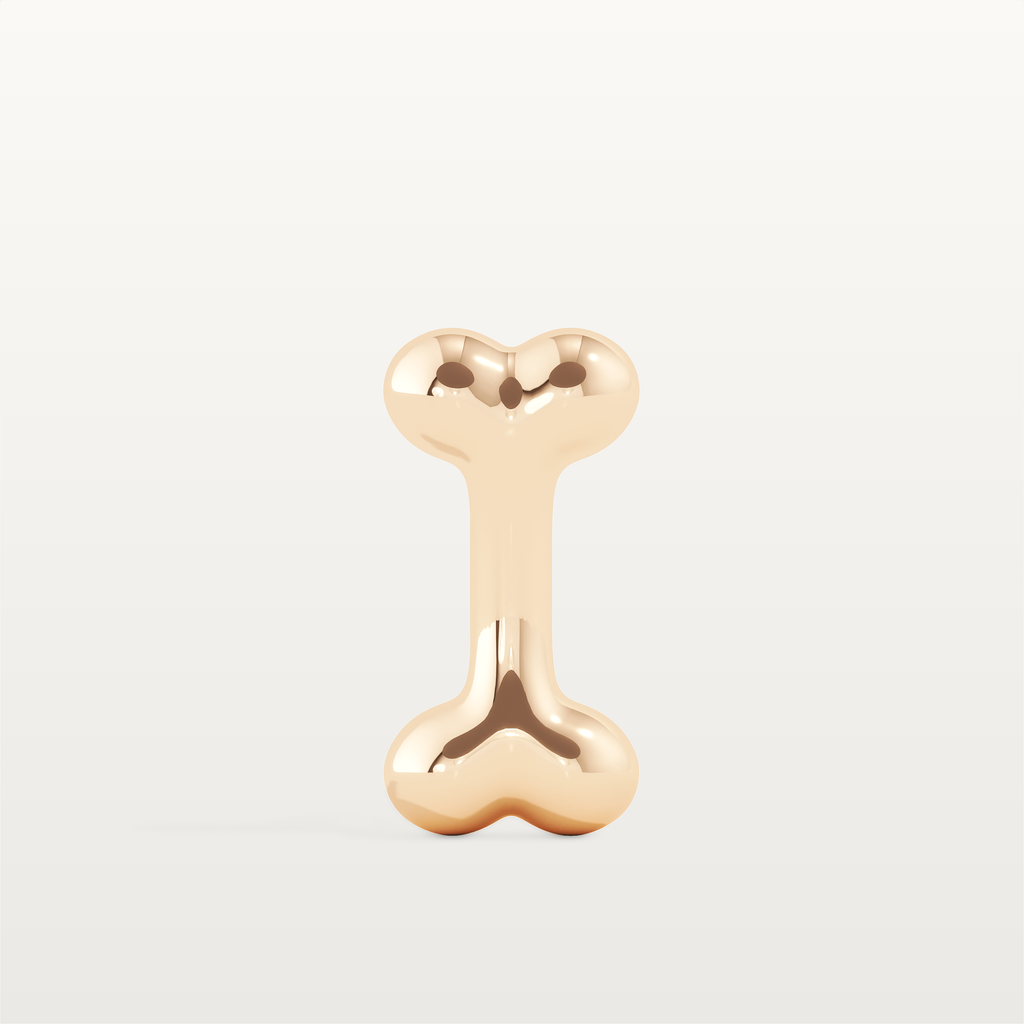 Croc & Bone bracelet