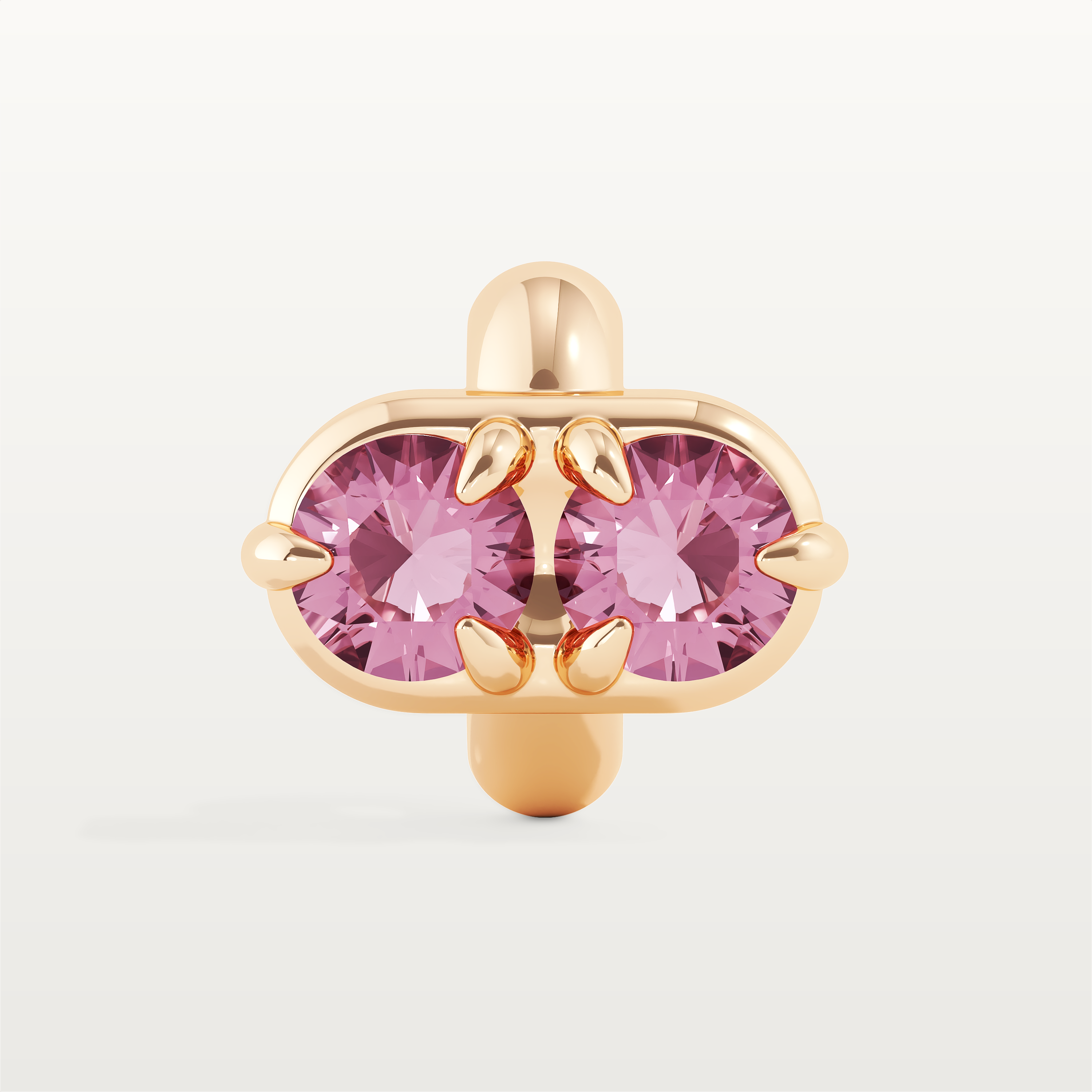 Blush Bloom & Shelly Pink