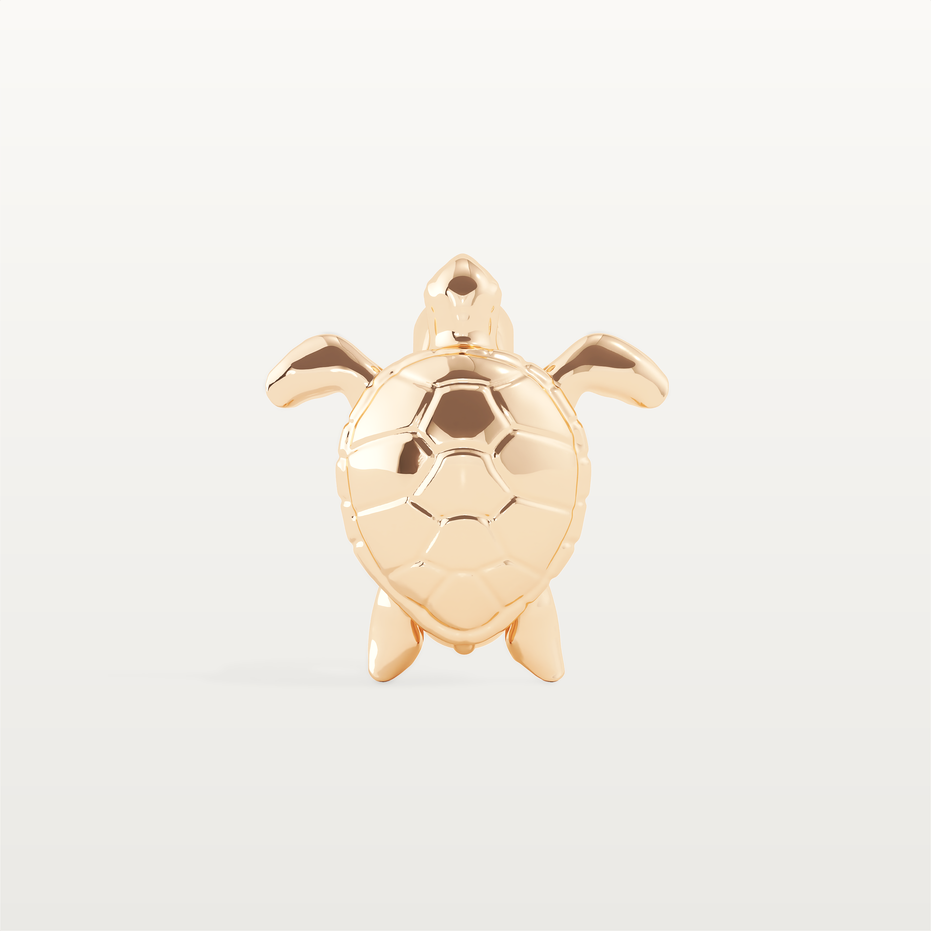 Blush Bloom & Shelly Pink