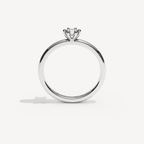 010) ORRIELLE  92-2. 6 klo 0,25 | White Gold | View 2