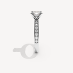 013) PHELIACANAL 92-2,5. Oval 0,70 + 0,02 sidstenar | White Gold | View 3